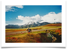 In the Peruvian Andes - Richard Nicholls